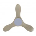 EFENZ THURMAN 343 (LED)